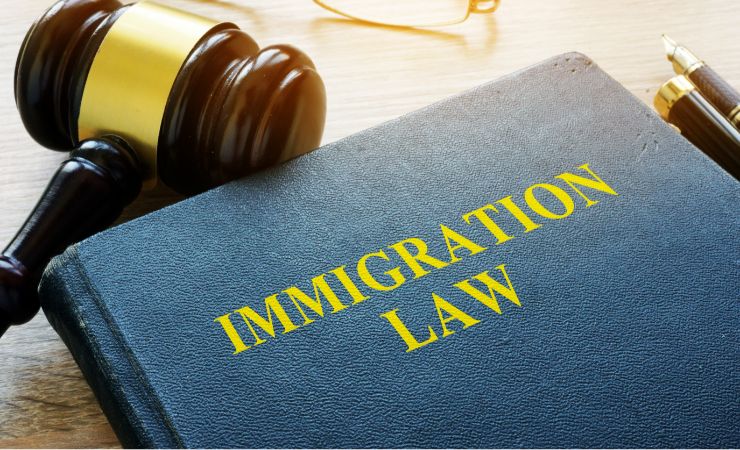 How Do You Handle Situations When Immigration Claims Are Rejected On Appeal