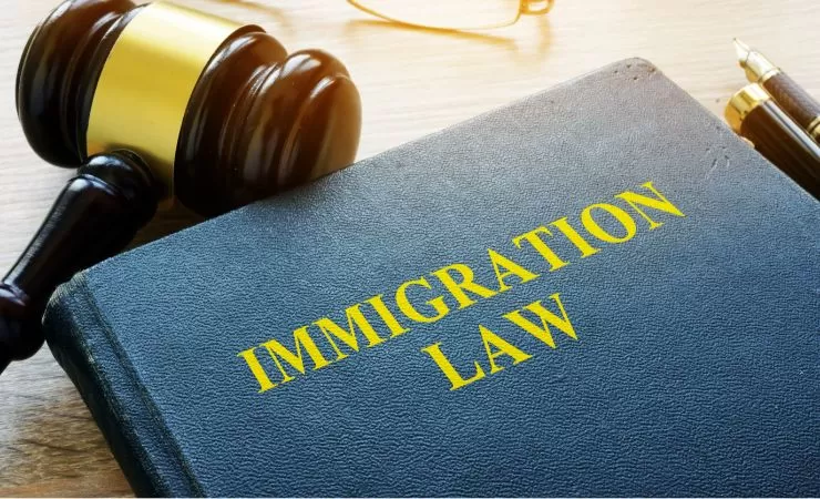 Immigration Attorney