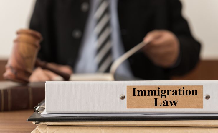 Immigration Lawyer