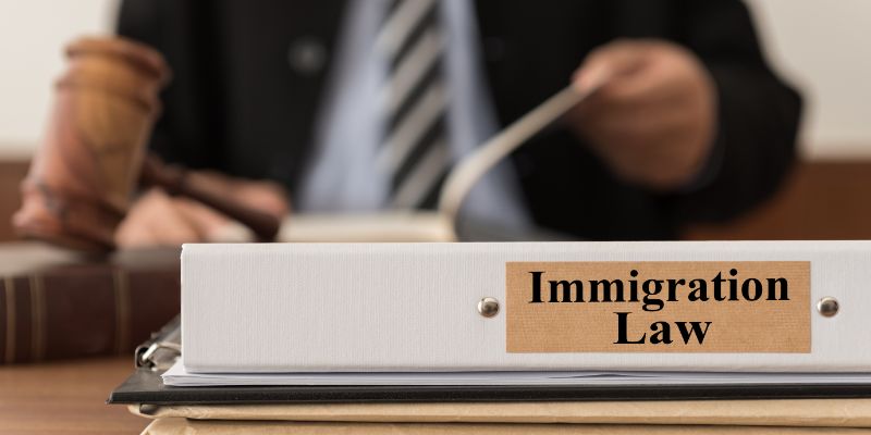 What Does an Immigration Lawyer Do in California?